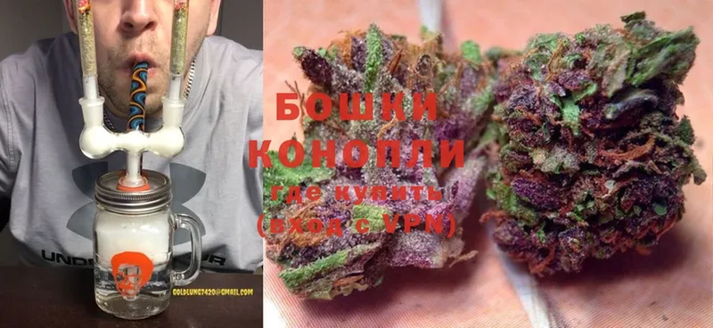 где купить наркоту  Уссурийск  Шишки марихуана OG Kush 